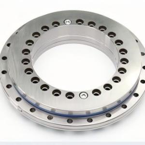 YRT120 Precision Rotary Table Bearing