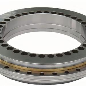YRT260 Rotary Table Bearing